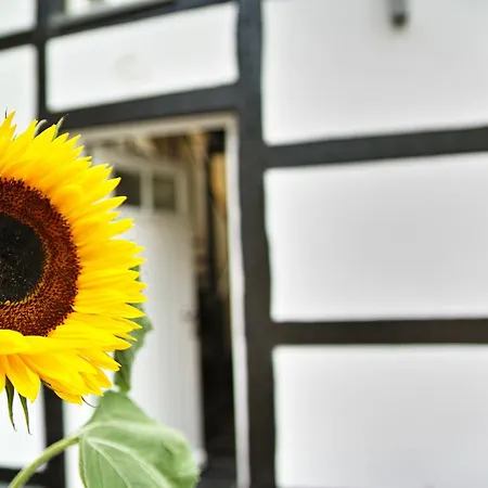 Kragemann & Vinothek Отель