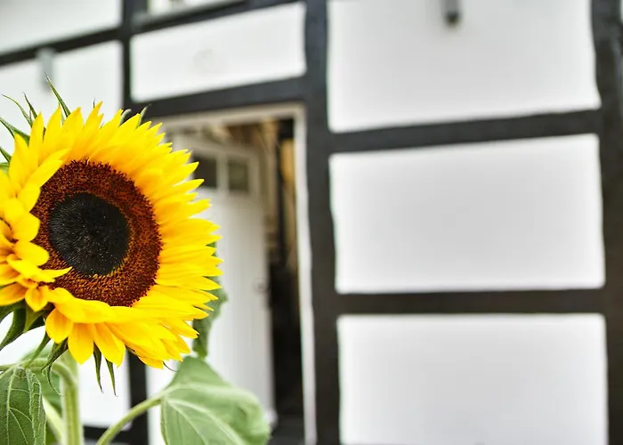 Kragemann & Vinothek Hotel